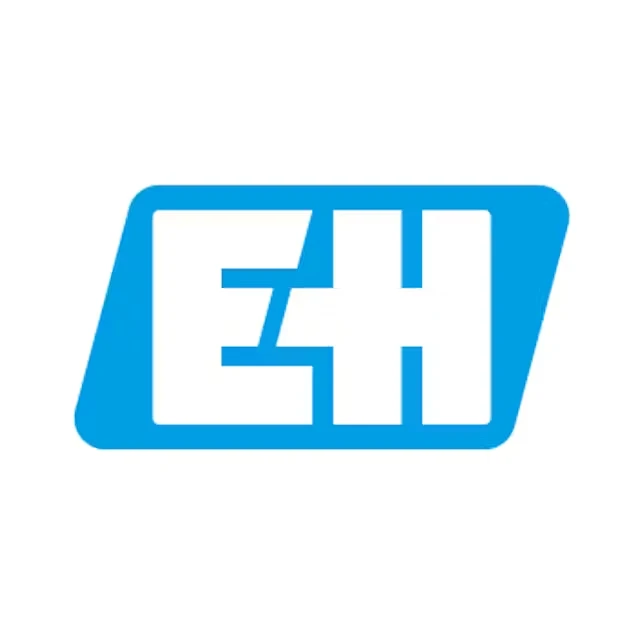 Endress+Hauser Logo